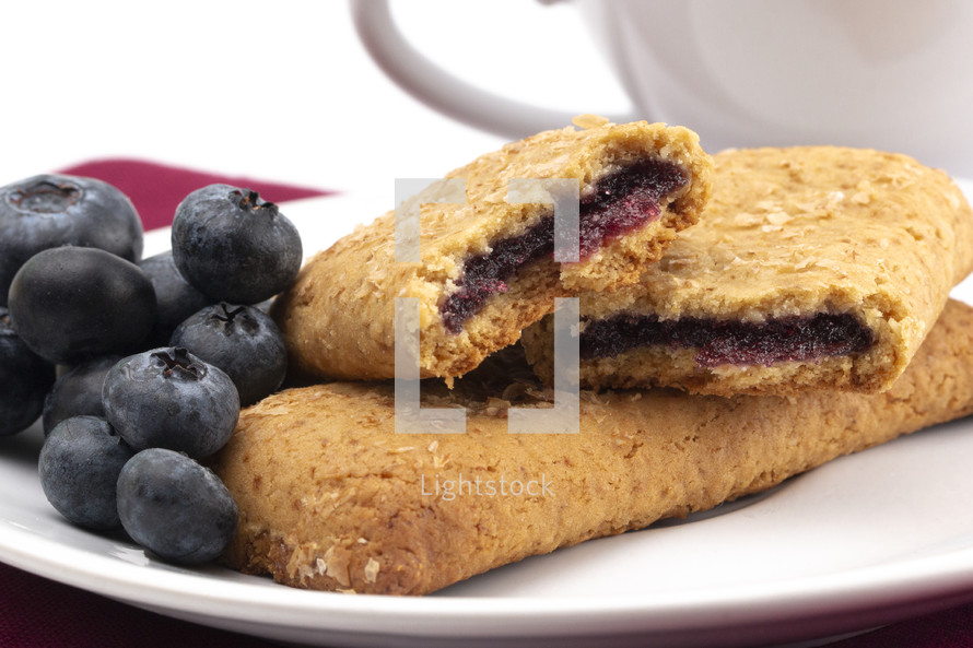 Whole Grain Blueberry Breakfast Bar on a White Background