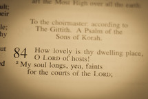Psalm 84:1-2 How lovely is thy dwelling place, O Lord of hosts! My soul longs, yea, faints for the courts of the Lord;