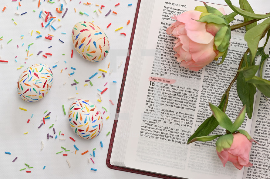 decorated Easter egg and opened Bible 