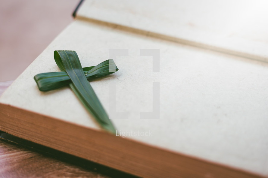 Palm cross on a book 