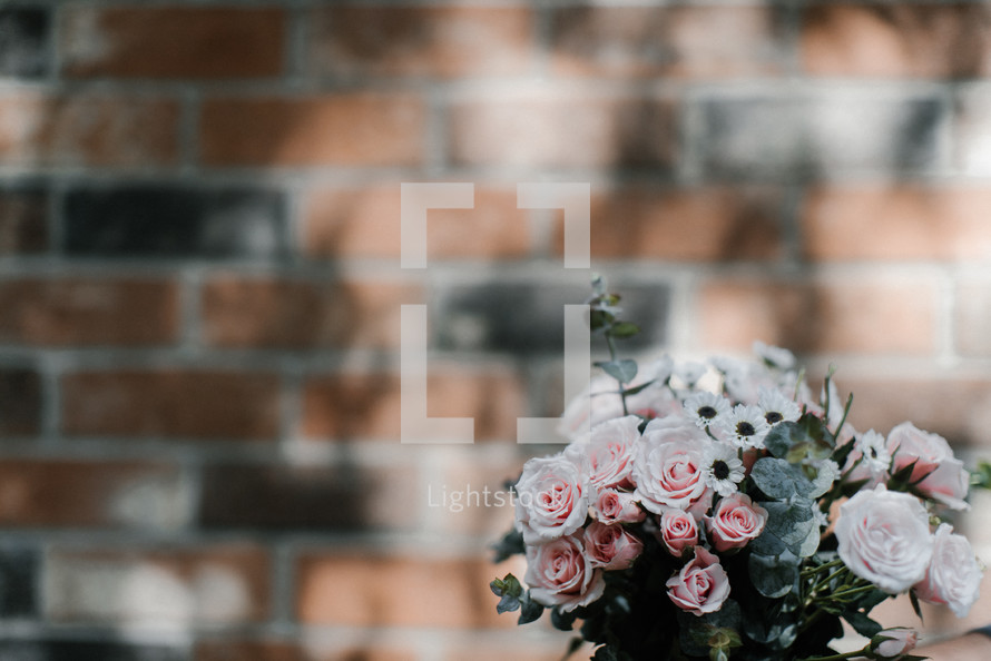 pink roses against a brick background 