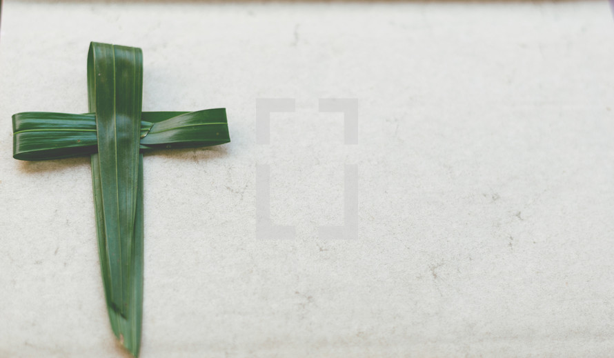 Palm Cross on white background 