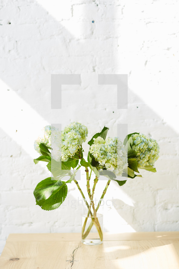 hydrangeas in a vase on a table 