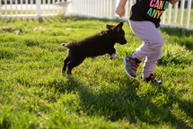 toddler girl running with a puppy 