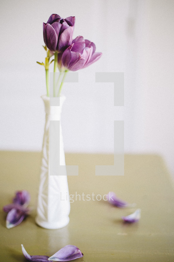 Purple flowers in a white vase.