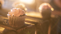 cupcake in bright sunlight 