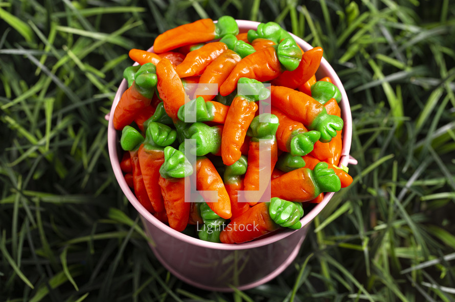 Gummy Candy Carrots in a Pink Bucket on the Grass