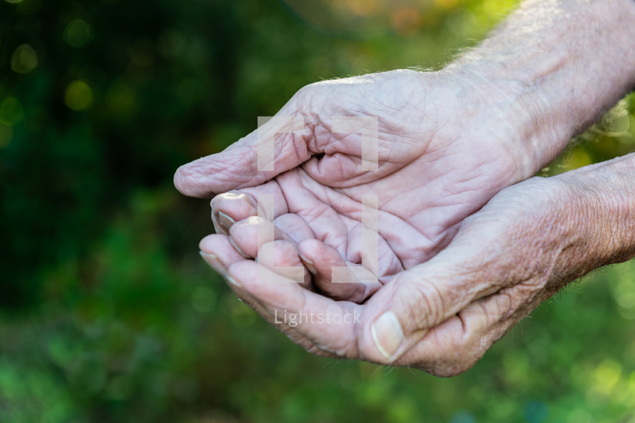 cupped hands of an elderly man 