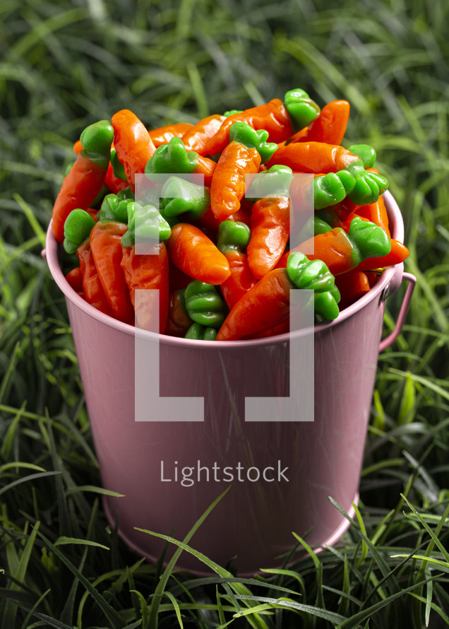Gummy Candy Carrots in a Pink Bucket on the Grass