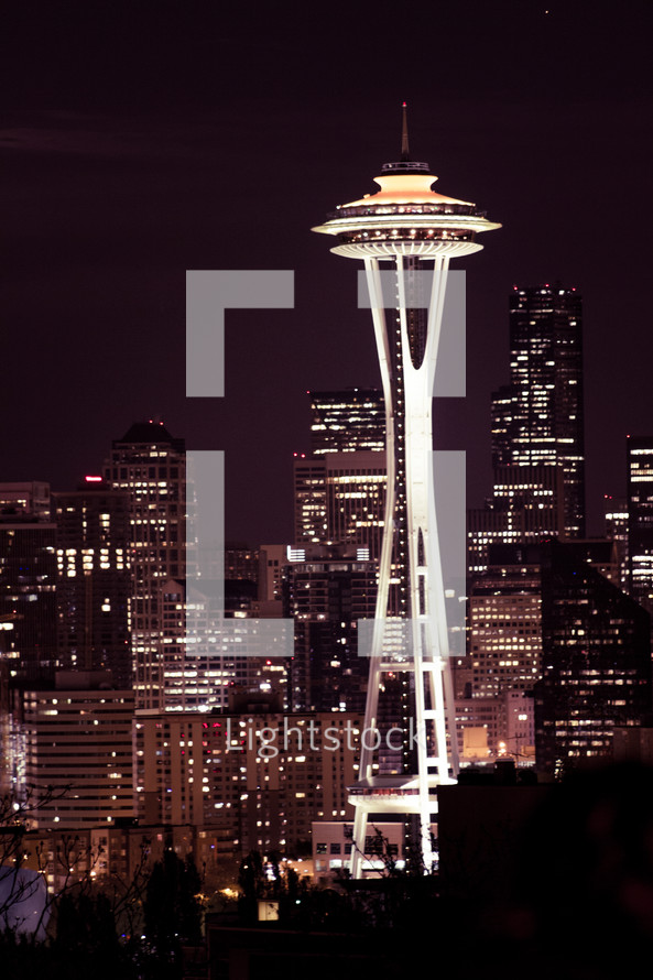 Seattle space needle at night 