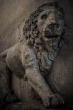 stone lion 