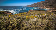 California shoreline view 