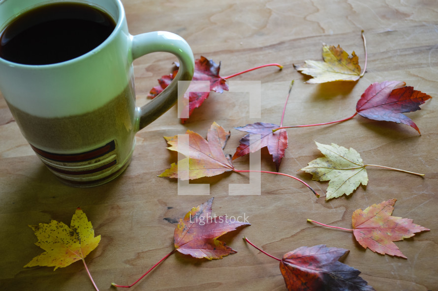 coffee cup and fall leaves 