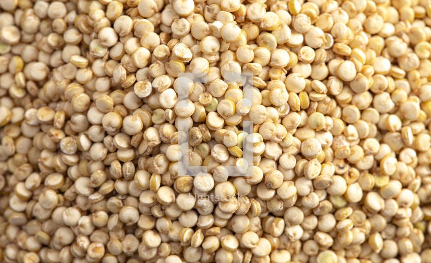 Quinoa Background