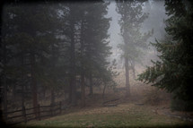fog, fence, and trees outdoors 