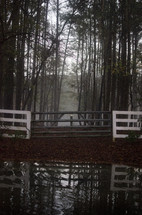 Gate in front of misty trees, reflected in the water