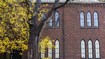brick building and fall tree 