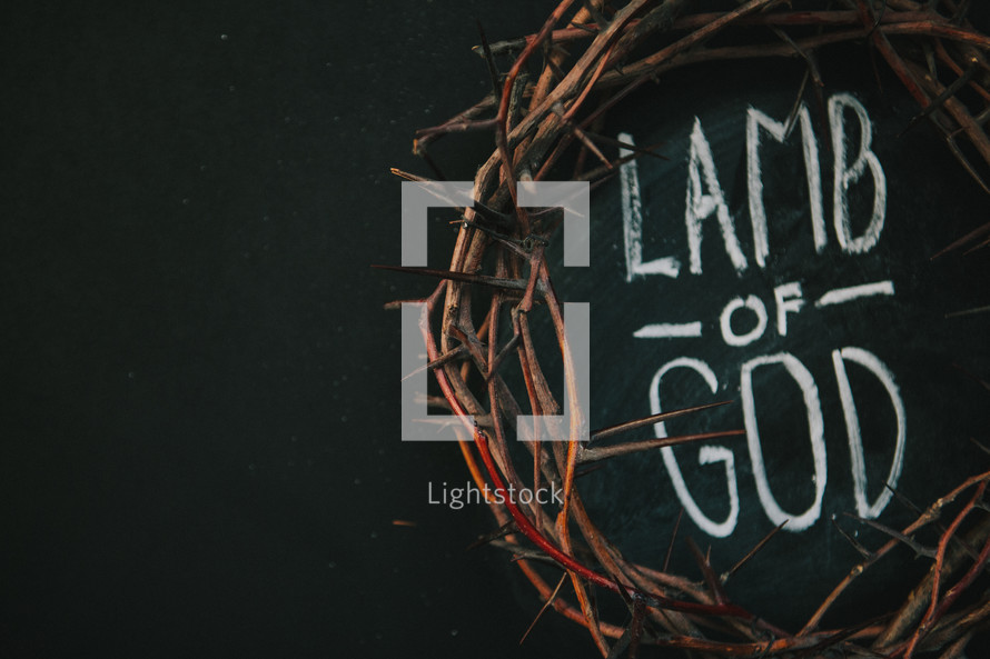 Lamb of God and crown of thorns 