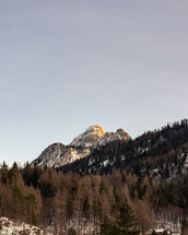 mountain peak and forest 