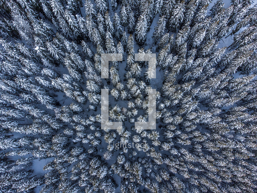 aerial view over a winter mountain forest 