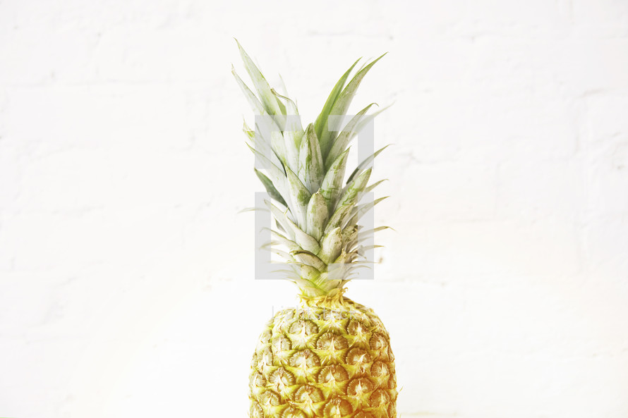 a single pineapple 