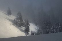 Winter Mist in Ciucas Mountains, Romania