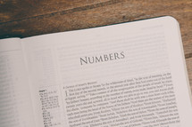 Bible opened to Numbers 