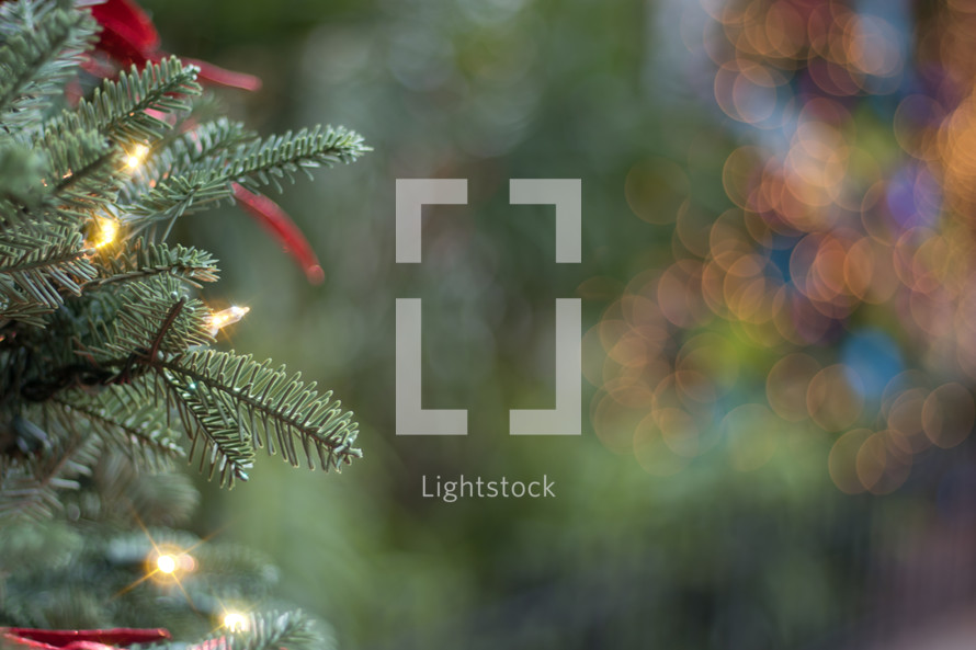 lights on a Christmas tree 