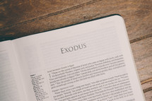 Bible opened to Exodus 