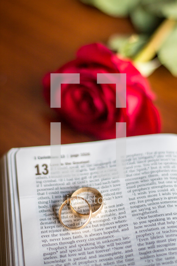 red rose and wedding rings on the pages of a Bible 