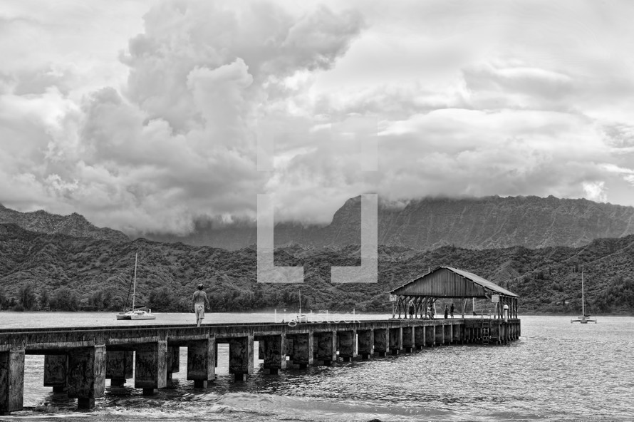 pier and covered dock 