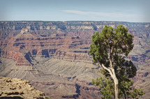 Grand canyon landscape 