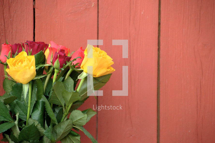 bouquet of yellow, red, pink and orange roses in front of painted old rural wood boards 