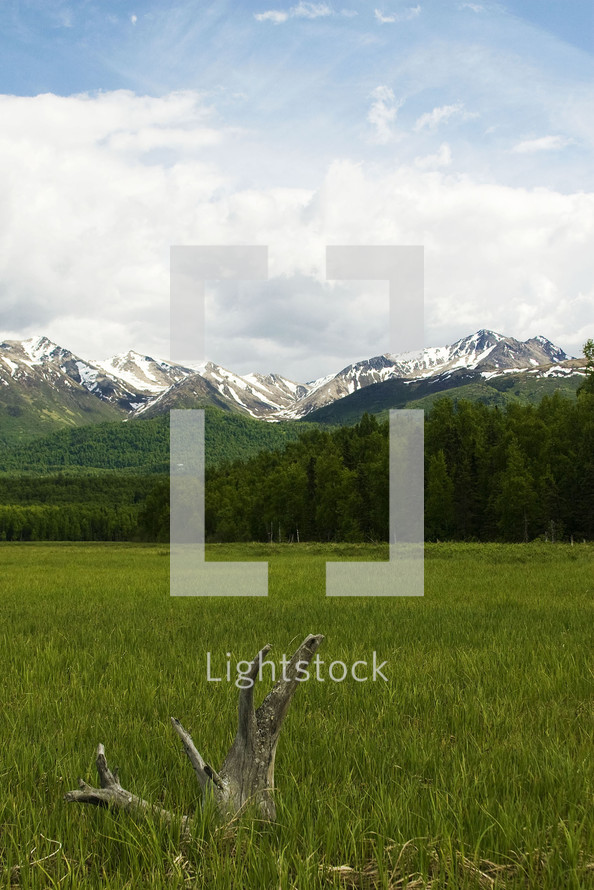 meadow and snow covered mountain peaks