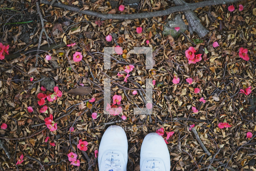 sneakers standing on sticks, flower petals, and dry leaves on the ground 