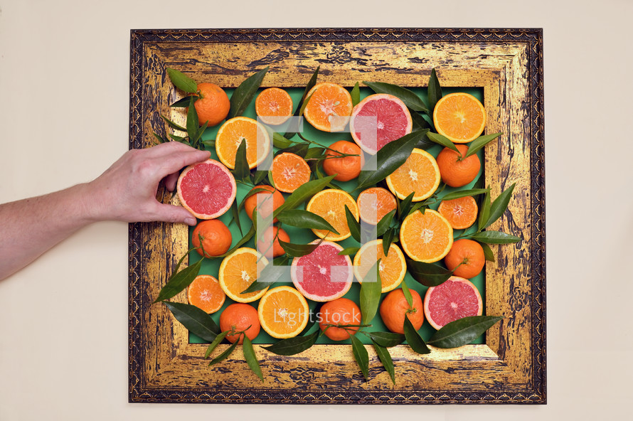 Abstract Citrus Fruits Inside of Classic Frame
