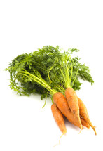 carrots on a white background 