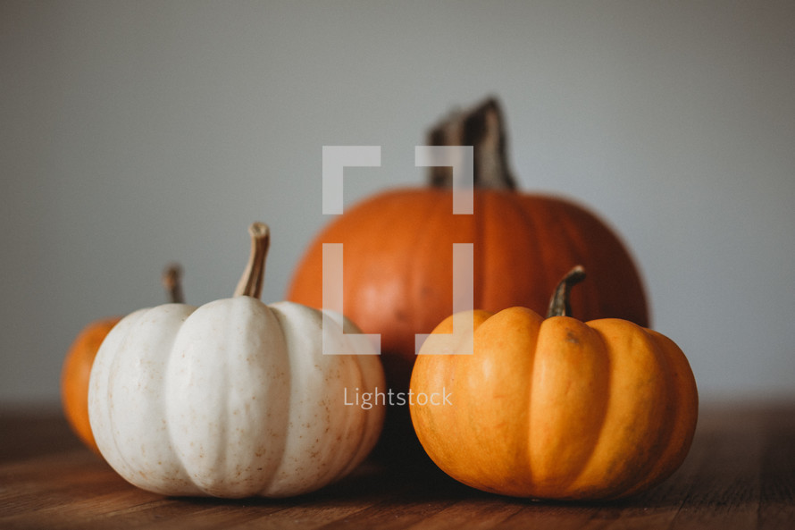 orange and white pumpkins on a wood table 