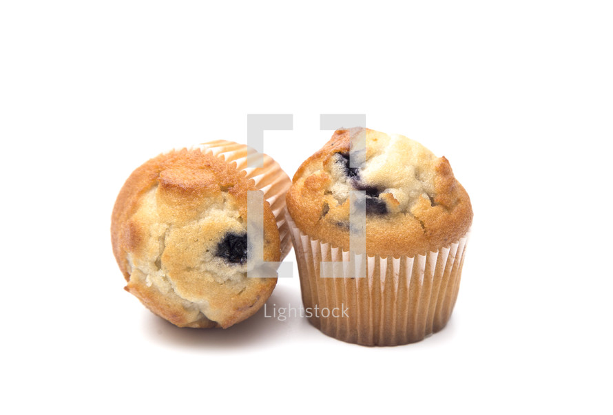 blueberry muffin 