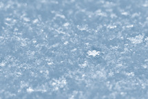 Real snowflakes on snow backgrounds