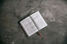 opened Bible on a gray background
