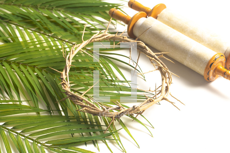 scroll and crown of thorns on palm fronds on a white background 