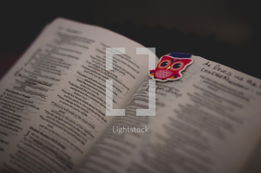 bookmark on the pages of a Bible 