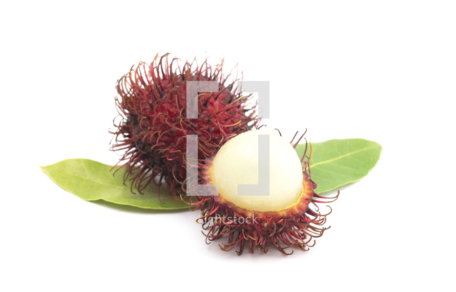 A Fresh Red Rambutan Isolated on a White Background