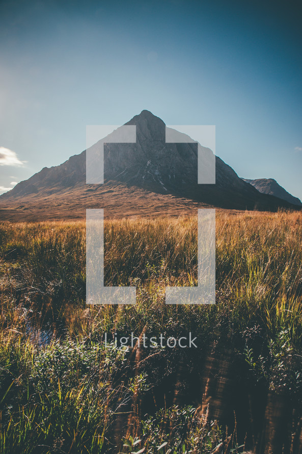 green grasses in a field and mountain peak 