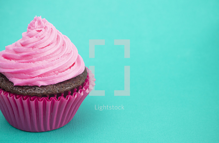 chocolate cupcake with bright pink icing 