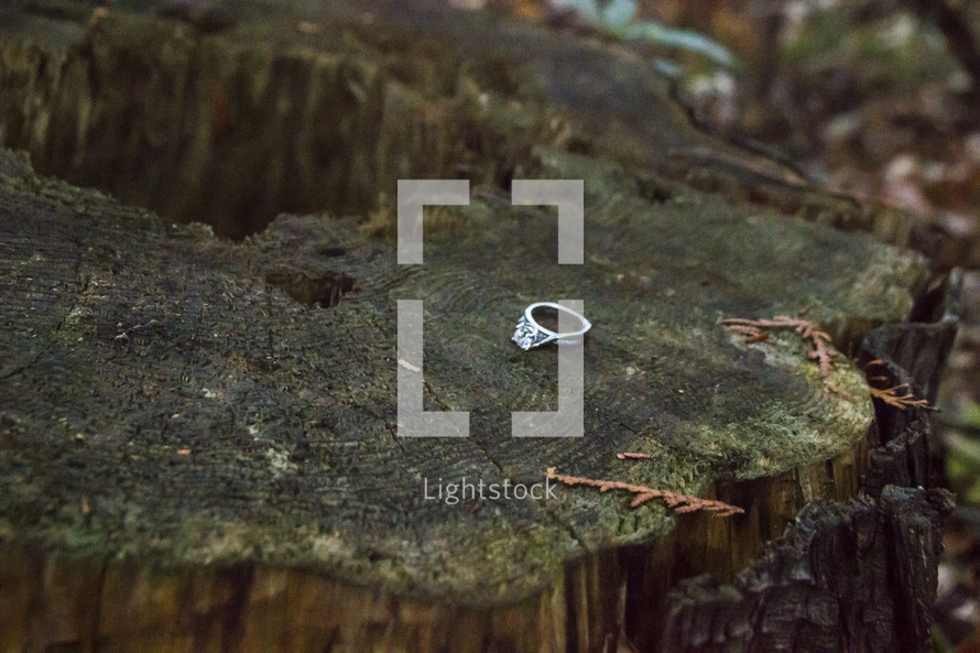 Silver ring laying on a tree stump