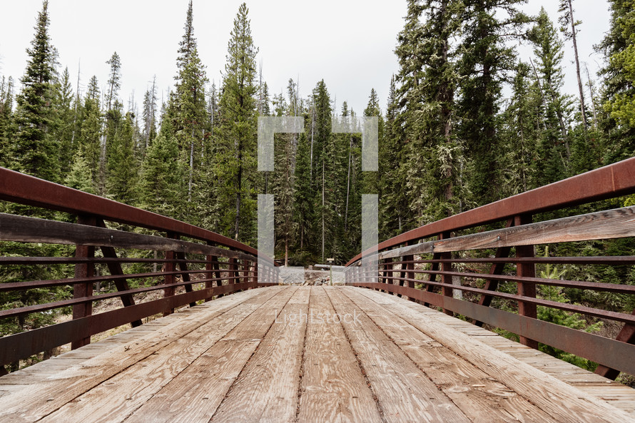 pedestrian bridge leading to a forest 