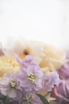 purple flowers in a bouquet 