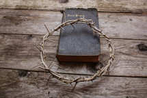 crown of thorns on a Bible 